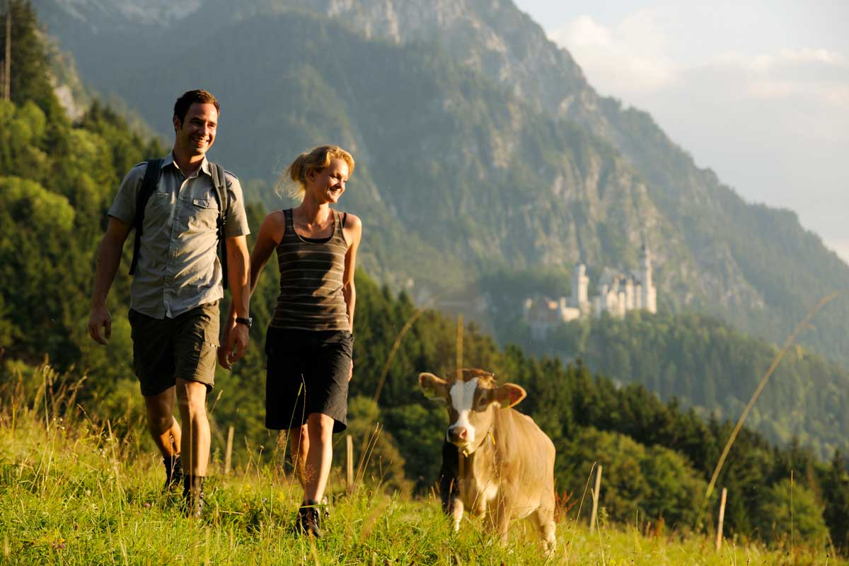 Mehr Füssen-Romantik geht nicht – wandern auf Spuren von König Ludwig II. zu Füßen des Märchenschlosses Neuschwanstein und auf Du und Du mit einer Allgäuer Kuh. Bildnachweis: Füssen Tourismus &amp; Marketing/guenterstandl.de